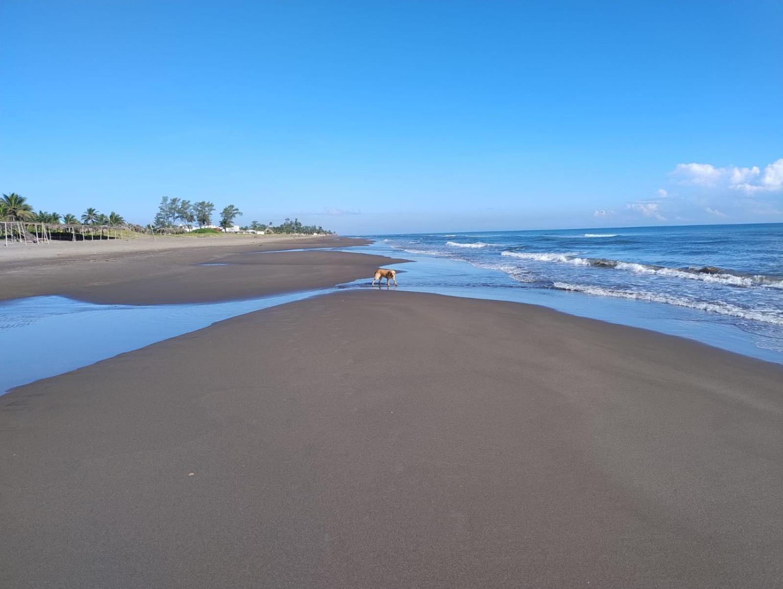 Playa Encantada Casitas Zewnętrze zdjęcie